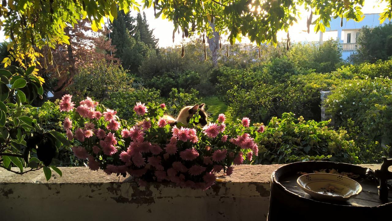 Casale Del Forno Villa Andrano Dış mekan fotoğraf