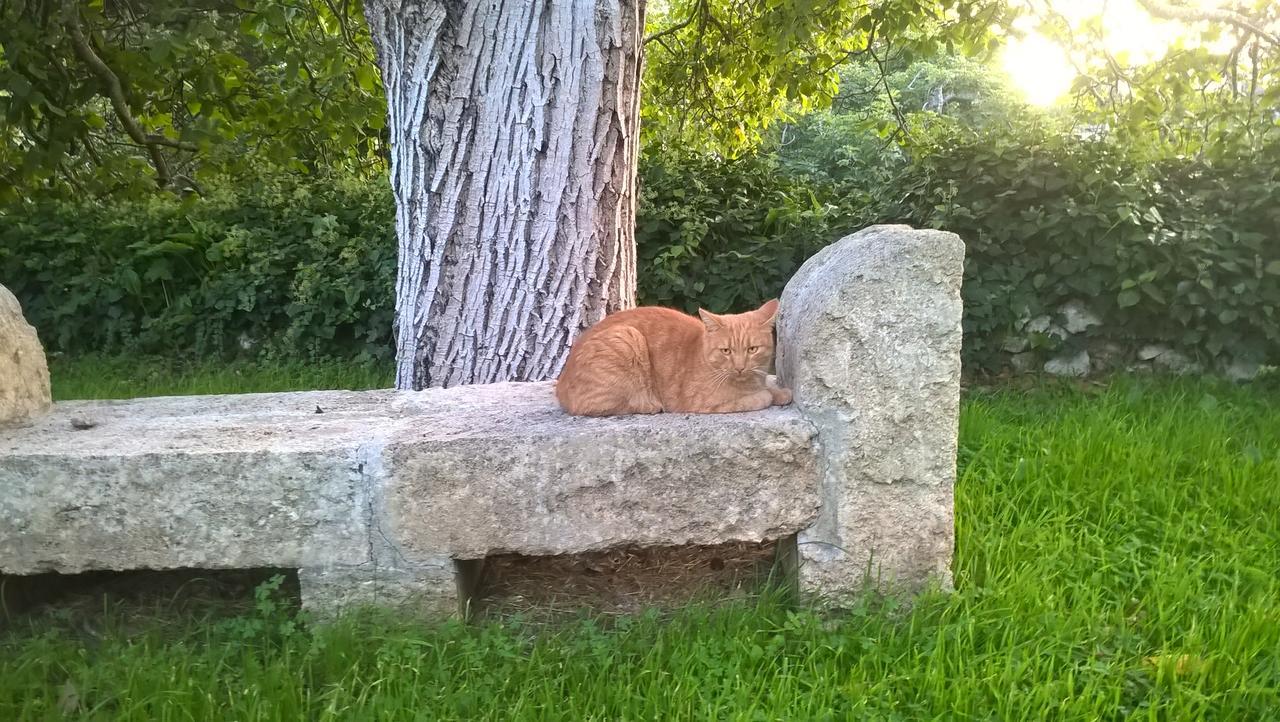 Casale Del Forno Villa Andrano Dış mekan fotoğraf