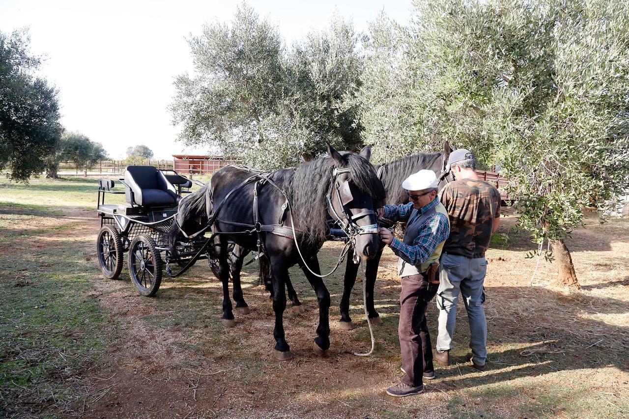 Casale Del Forno Villa Andrano Dış mekan fotoğraf