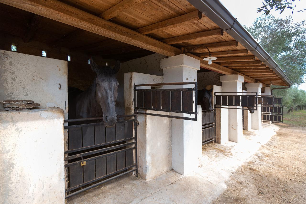 Casale Del Forno Villa Andrano Dış mekan fotoğraf